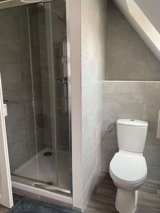 Appartement Cosy A Colmar Buitenkant foto