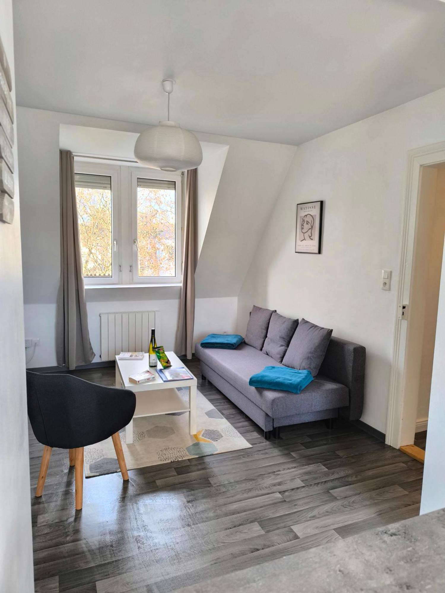 Appartement Cosy A Colmar Buitenkant foto