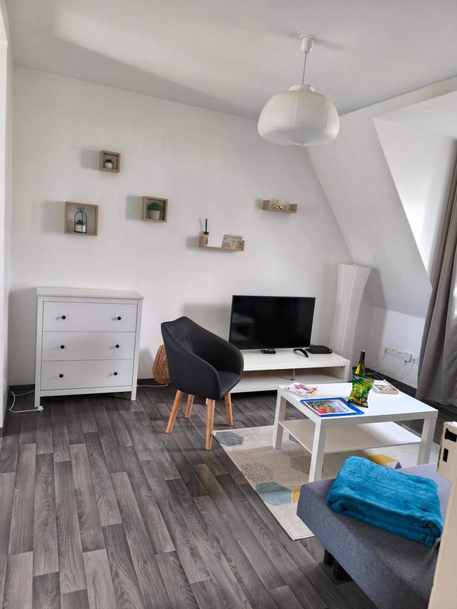 Appartement Cosy A Colmar Buitenkant foto