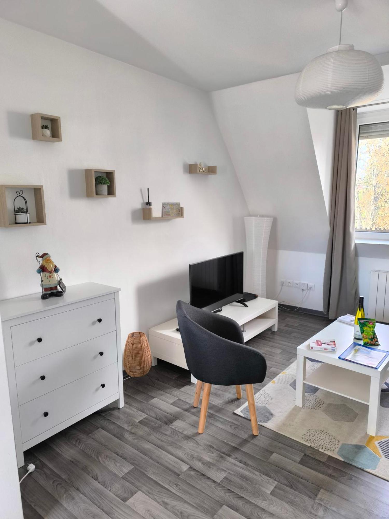 Appartement Cosy A Colmar Buitenkant foto