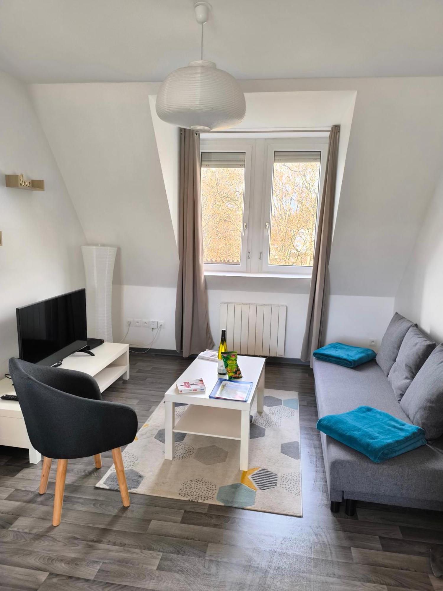 Appartement Cosy A Colmar Buitenkant foto